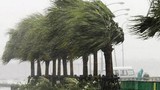 16h chiều nay, bão số 4 đổ bộ Bình Định - Khánh Hòa