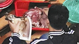 Ảnh người Việt bán thịt chó gây bão Hong Kong