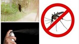 Cửa lưới có phải cách phòng muỗi hiệu quả?