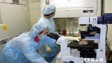 Người nghi nhiễm Ebola ở Đà Nẵng mắc sốt rét