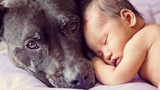 Bộ ảnh xúc động về tình bạn giữa chó và trẻ em
