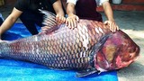Những lần đại gia Việt dốc tiền mua cá khủng về nhậu