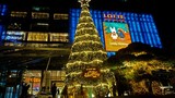 Chiêm ngưỡng những cây thông Noel đẹp độc lạ ở Hà Nội