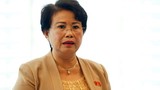 Bí thư Đồng Nai nói không biết bà Phan Thị Mỹ Thanh sai phạm