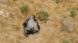 Bí ẩn hàng trăm con voi chết trong tư thế lạ ở Botswana
