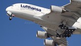 Lai lịch hãng hàng không Lufthansa vừa dừng hoạt động tại VN