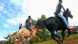 Tận mục đua ngựa kỳ thú trên thảo nguyên Langbiang