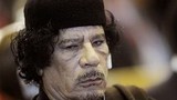 Gaddafi vẫn còn sống?