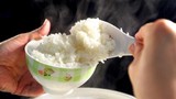 Gạo nhựa Trung Quốc độc hại xâm nhập khắp châu Á