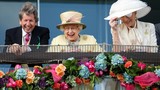 “Ngả mũ” thú vui đem về gần 200 tỷ cho Nữ hoàng Anh