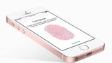 Rộ tin iPhone SE 2 ra mắt trong tháng 6