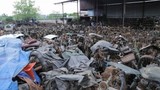 Điều đáng sợ trong nghĩa địa ô tô khổng lồ ở Bắc Giang