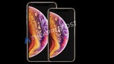 iPhone OLED 6.5 inch có tên "iPhone Xs Max"