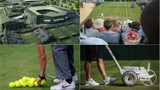 Wimbledon và những con số không phải ai cũng biết