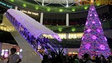 Lượn phố Hà Nội tràn đầy màu sắc lễ Giáng sinh
