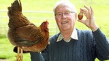 Quả trứng gà hai màu kỳ lạ độc nhất vô nhị ở Anh 