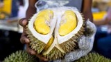 “Ngả mũ” cách quảng bá trái cây “vua” sầu riêng Malaysia