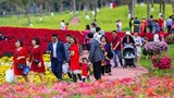 Lễ hội hoa xuân Ecopark: Không hợp gia đình trẻ nhỏ, giá cả đắt “chát“