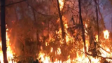 Triệu tập người phụ nữ đốt rác gây cháy rừng khiến hơn 1.000 người tham gia dập lửa