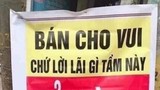 Những tấm biển quảng cáo "đi vào lòng người" khiến dân tình choáng váng