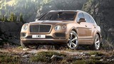 Siêu SUV Bentley Bentayga “cháy hàng” đến hết năm 2016