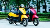 Người dùng xe máy dưới 50cc, xe máy điện phải có GPLX