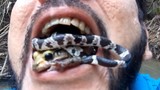 Kinh hoàng “dị nhân” ngậm cả rắn và ếch độc trong miệng