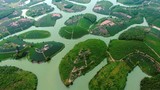 Ngắm ốc đảo chè đẹp nhất Việt Nam từ trên cao