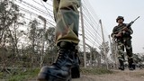 Quân đội Ấn Độ và Pakistan đấu súng, 4 người thiệt mạng
