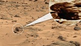 Phát hiện khối đá hệt khuôn mặt TT Mỹ trên sao Hỏa