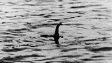 Phát hiện họ hàng của quái vật hồ Loch Ness 