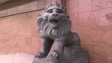Cười đau bụng với sư tử “ngáo đá” dựng trước cửa nhà 
