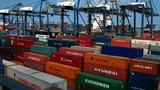 Bán đấu giá 82 container hàng vô chủ ở cảng Cát Lái