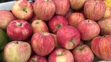 5 loại táo Tàu đang bán đầy chợ Việt, chị em dễ nhầm lẫn