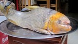 Những loại cá "khủng" đại gia Việt săn lùng dịp Tết