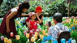 Khách kéo nhau chụp hình, giẫm nát vườn hoa hồng hoa tulip trong ngày đầu xuân