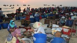 Kỳ lạ khu chợ chỉ họp vào mùa hè ở Quảng Nam