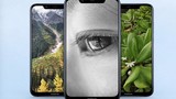 Nokia X7 được phát hành trên toàn thế giới với tên gọi Nokia 8.1