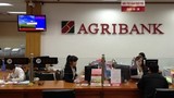 Agribank cảnh báo chiêu lừa đảo chiếm tài khoản ngân hàng của khách