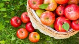 Hé lộ nguyên nhân táo nhập khẩu hàng tháng trời không hỏng, vỏ như tráng mỡ