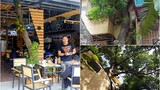 Độc đáo những ngôi nhà cây mọc “xuyên mái” ở Hà Nội 