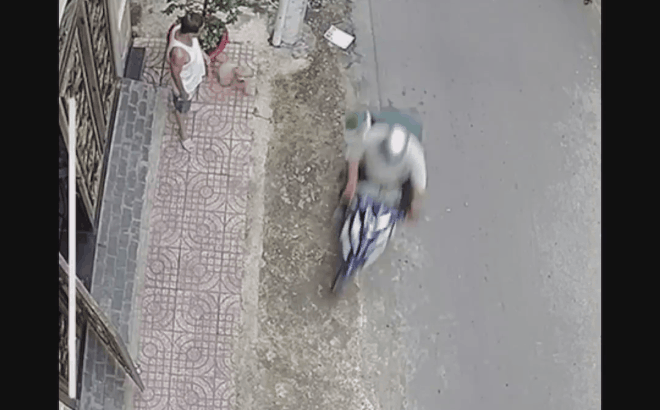 Video: 2 thanh niên chích điện, trộm chó ngay trước mặt chủ 