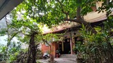 Khám phá nhà vườn phố cổ Hà Nội đại gia trả 180 tỷ không bán