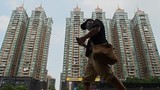 Trung Quốc: Khủng hoảng bất động sản nghiêm trọng hơn trong 2022