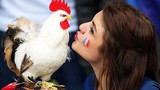 Tên gọi “gà trống Gô-loa” của ĐT Pháp có nguồn gốc từ đâu? 