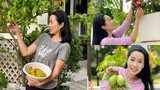 Mãn nhãn vườn trái cây xum xuê trong biệt thự của Trịnh Kim Chi