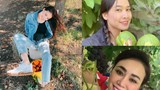Choáng ngợp khu vườn bạc tỷ của Hoa hậu Việt ở trời Tây
