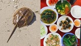 Món hải sản quý của Việt Nam không phải ai cũng từng được ăn thử