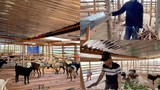 Cận cảnh trang trại nuôi dê của Quang Linh Vlogs tại Châu Phi