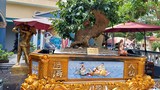 “Mê đắm” vườn mai vàng cổ thụ có 1-0-2 của đại gia Quảng Ninh